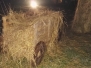 2015 Presepe Vivente